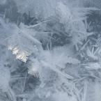 Ice Crystals
 /  